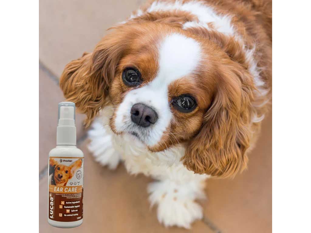 Lucaa Ear Care Spray with Dog