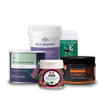 seaweed for skin health