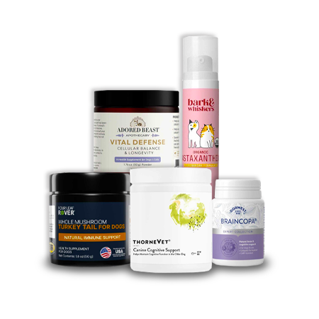 Supplements to support brain health