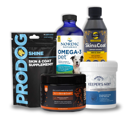 Supplements to support coat health in pets