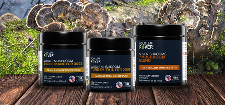 Four Leaf Rover Mushroom Range