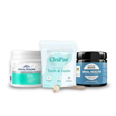 Dental products with added probiotics
