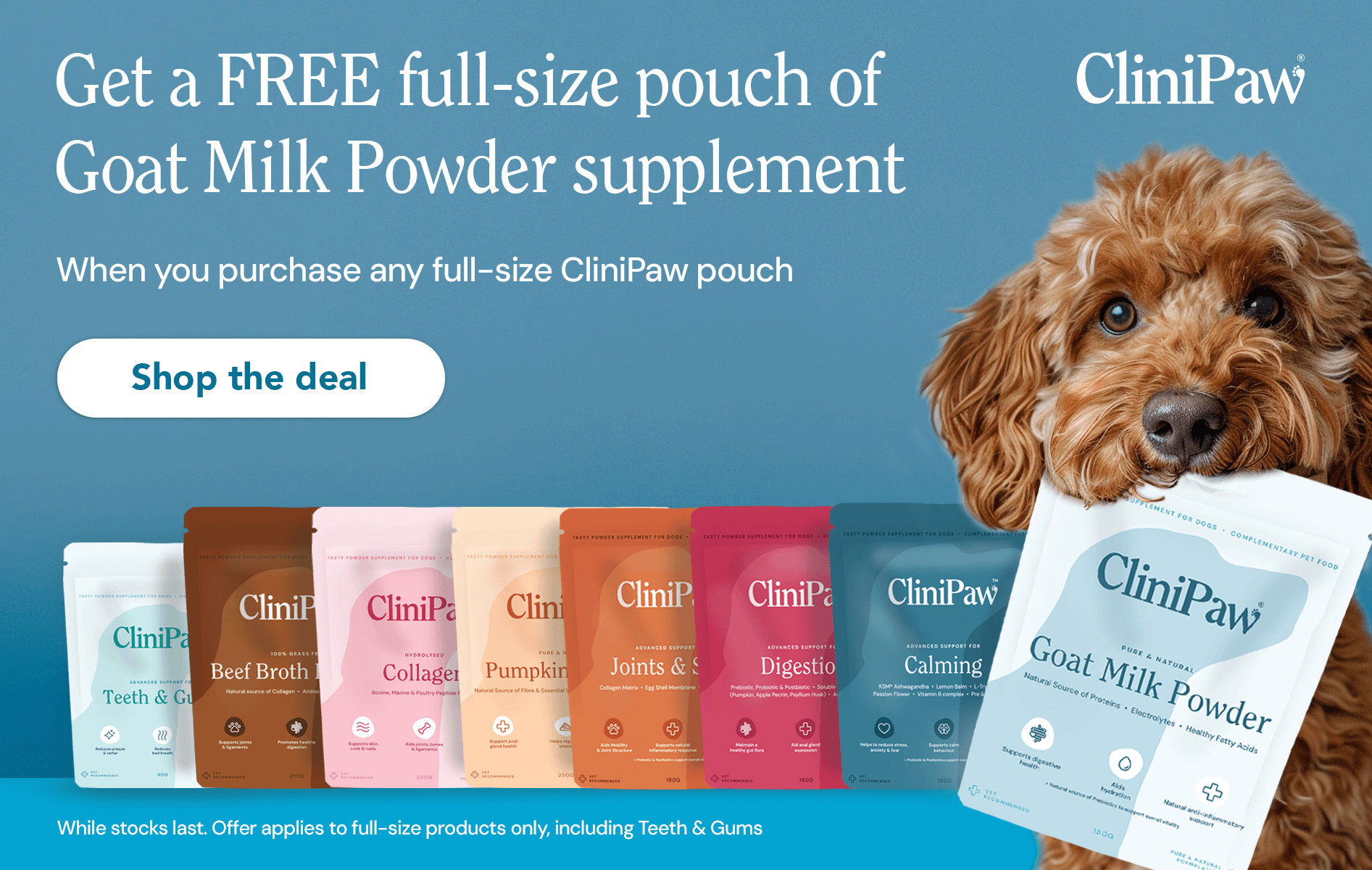 CliniPaw