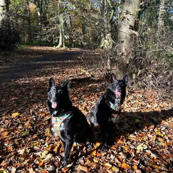 Della and Sally in the woods