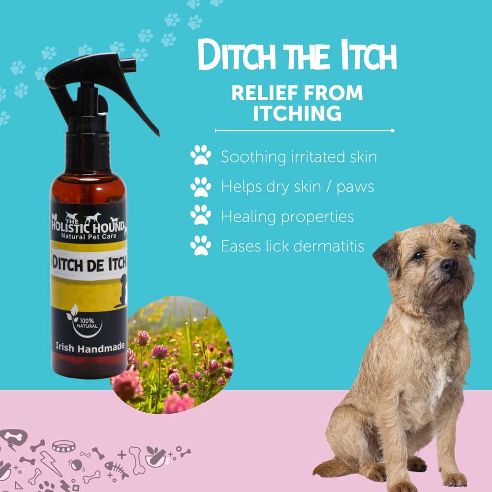 Ditch The Itch