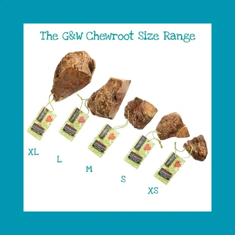 Green & Wild's Chewroot sizes