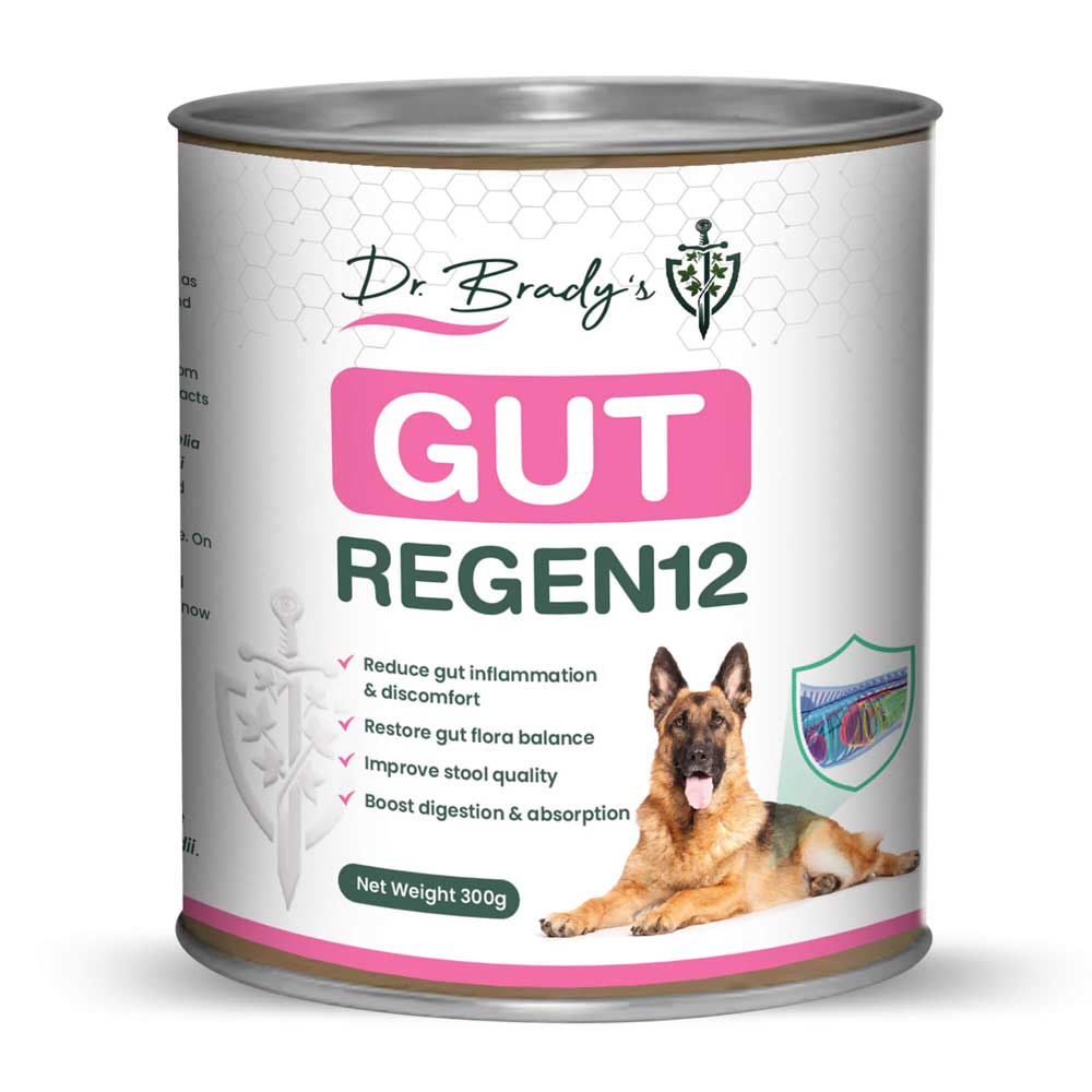 Dr Brady's Gut Regen12