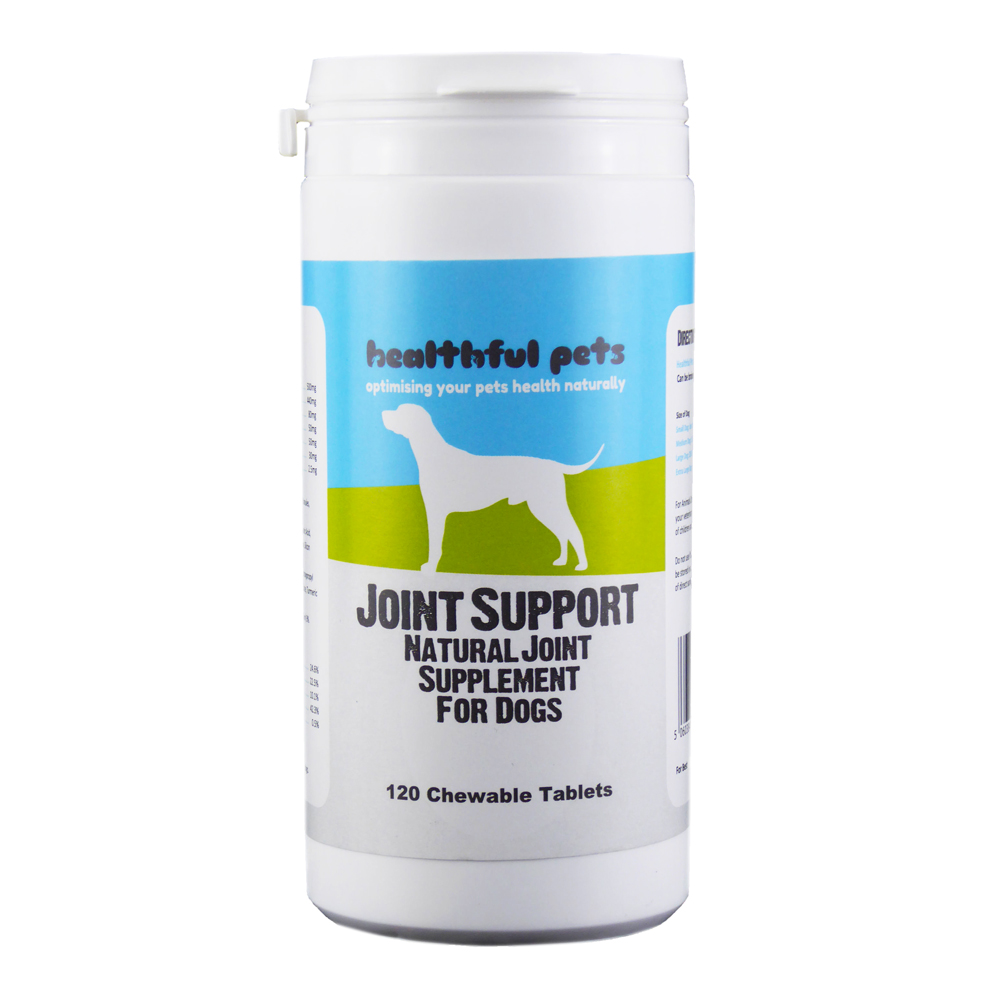 How to care for your arthritic dog in colder weather