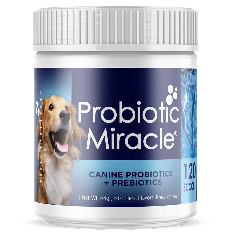 Nusentia Probiotic Miracle
