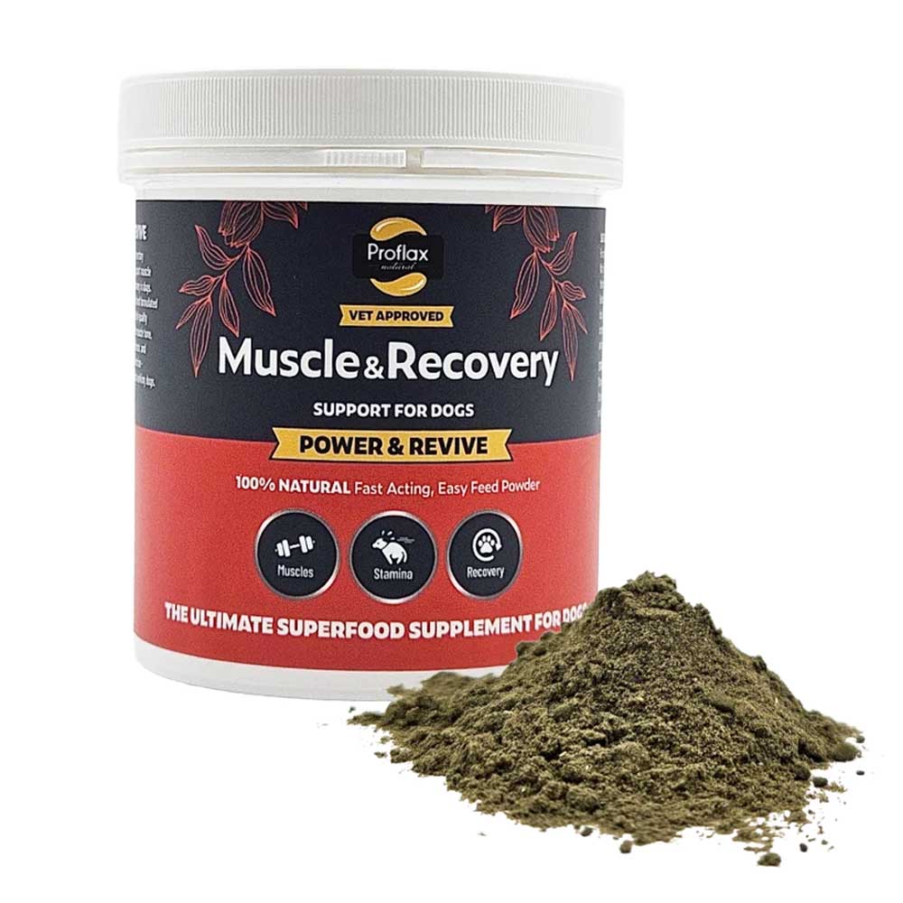 Proflax Muscle & Recovery for Dogs
