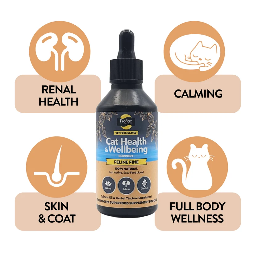 Proflax Feline Fine