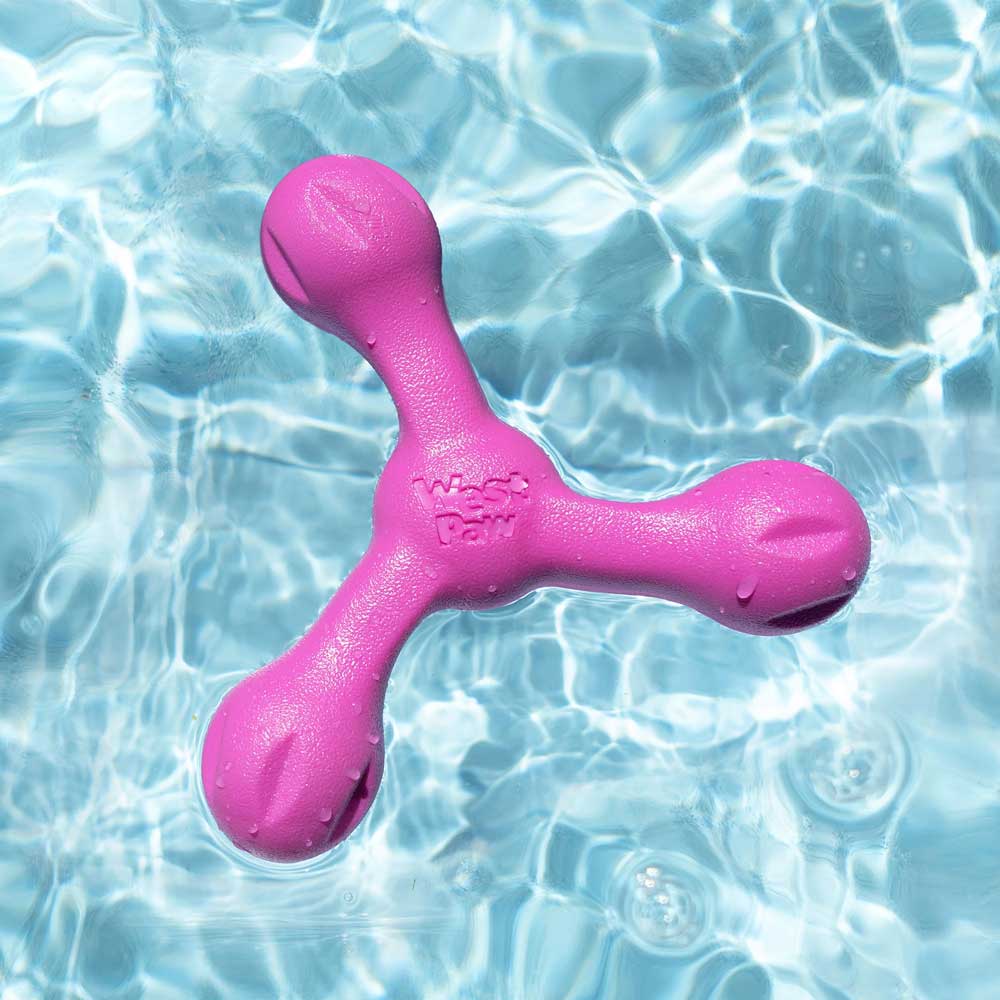 Floating dog toy