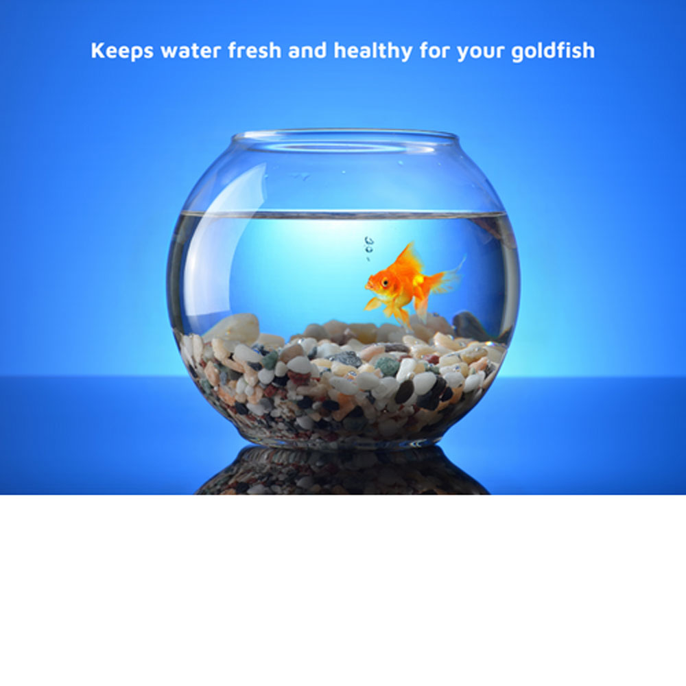 Keep goldfish healthy