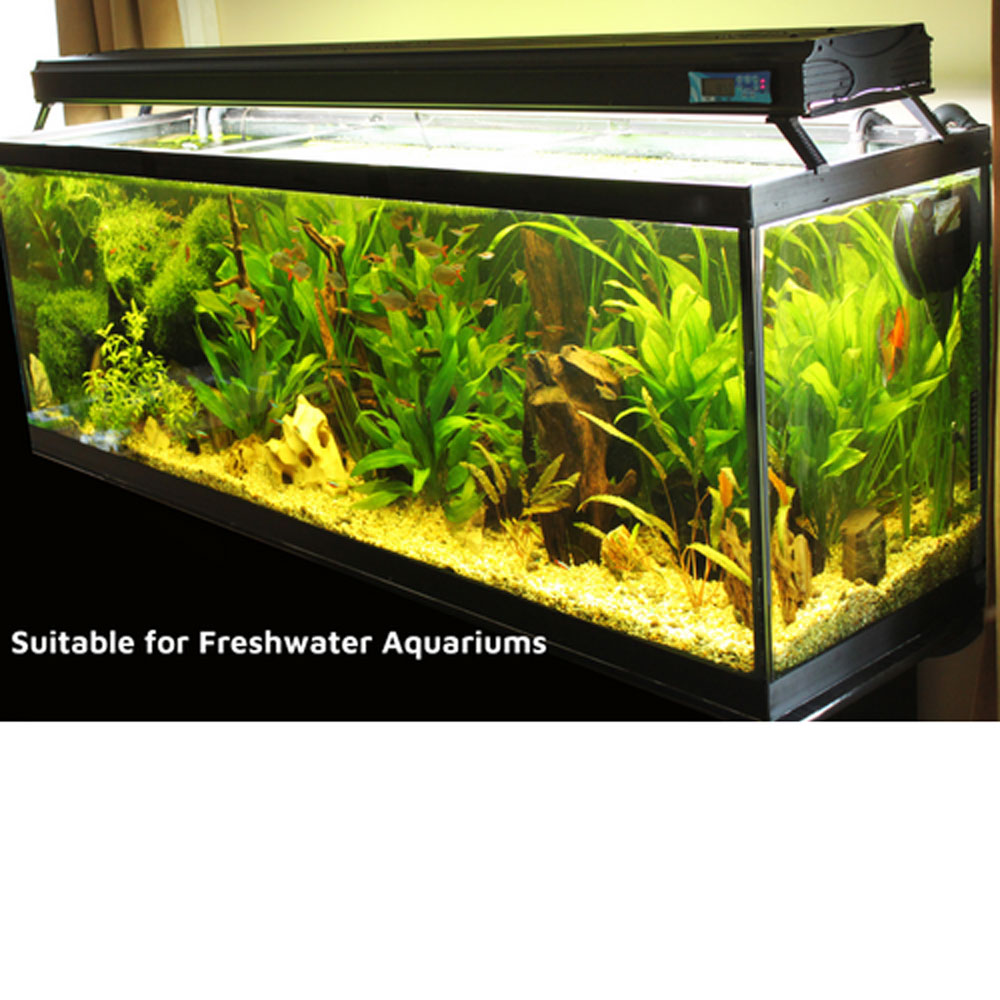 freshwater tanks