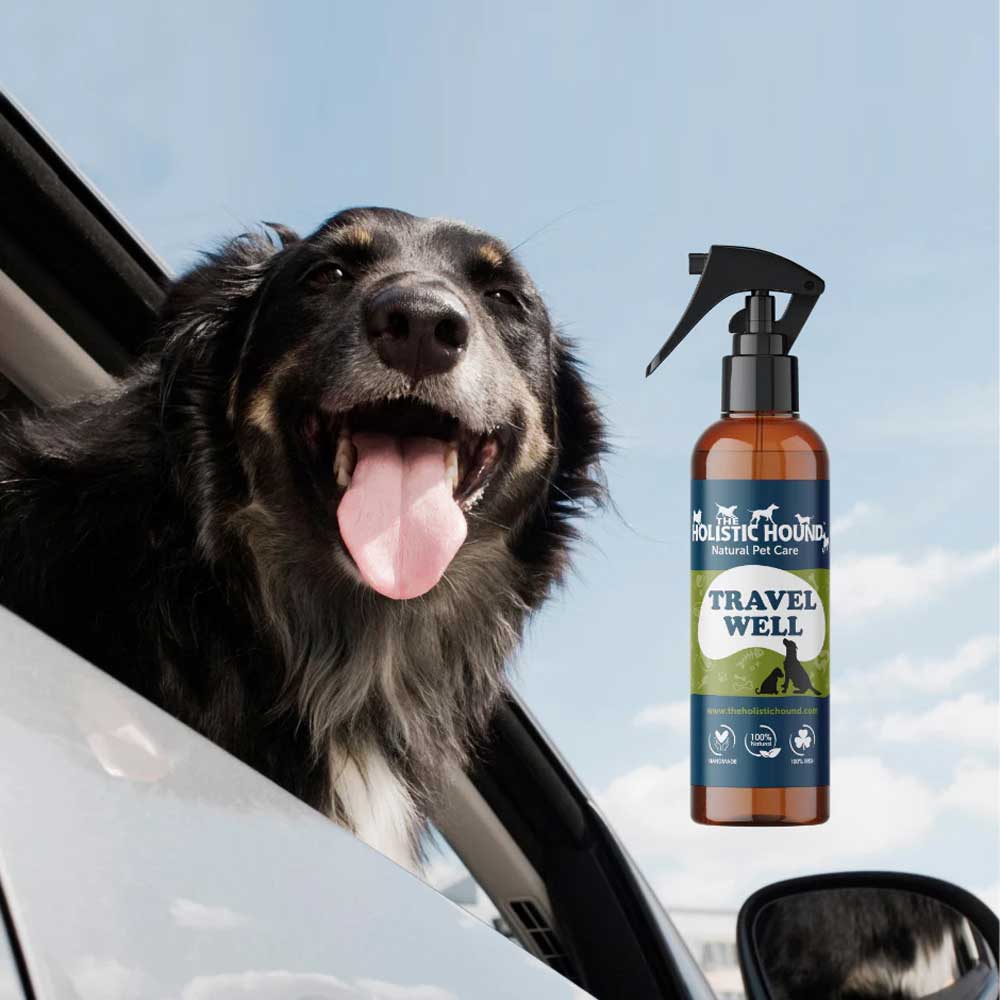 The Holistic Hound Travel Well Spray
