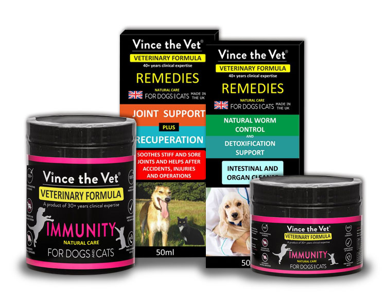 Vince the Vet supplements to use for post-op care