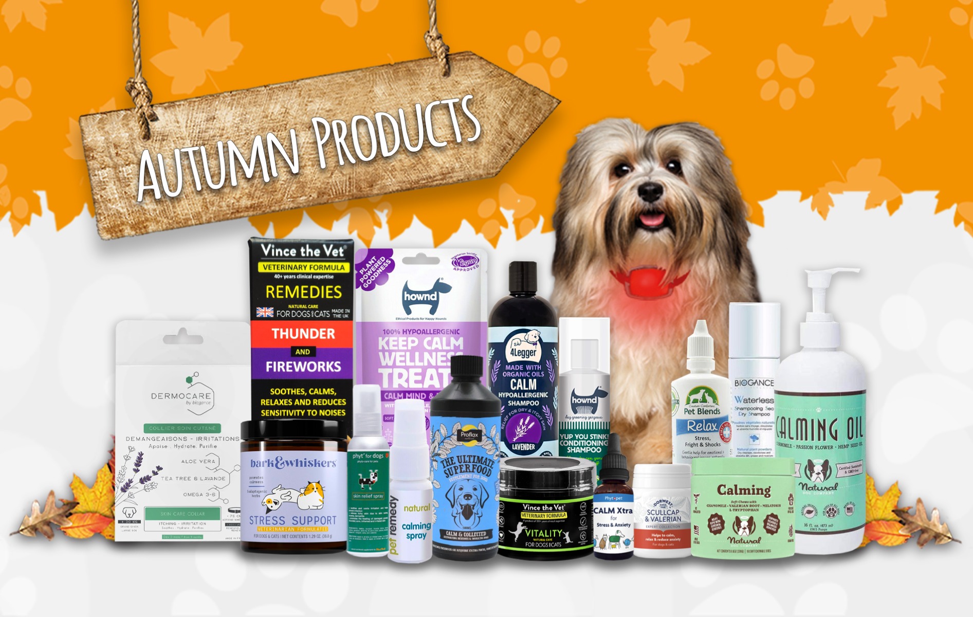Autumn Products