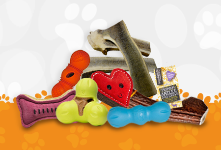 dog chew toys