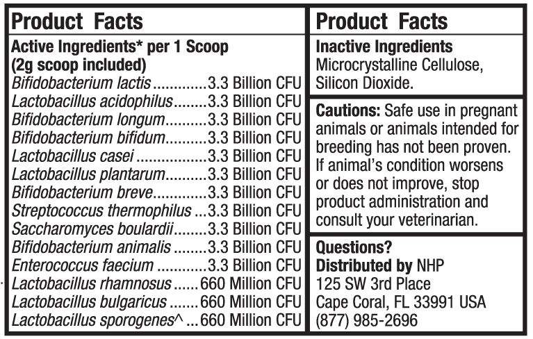 dr mercola complete probiotics for dogs