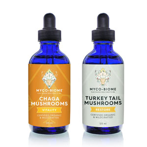 Adored Beast Turkey Tail and Chaga Mushroom