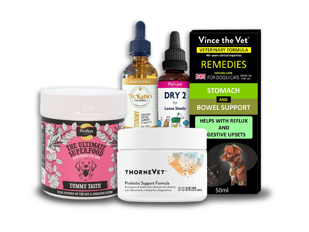 Digestive Supplements for Holidays