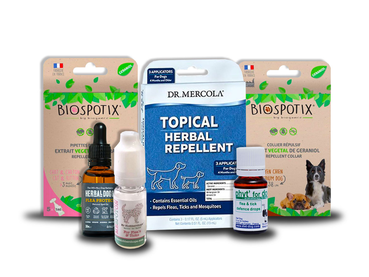 Picture of All-natural flea and tick repellents for cats and dogs at Healthful Pets