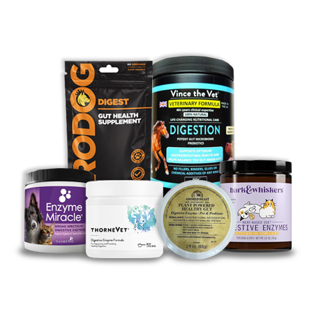Digestive Enzymes