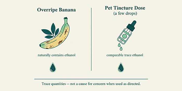infographic alcohol in Phytopet Tinctures