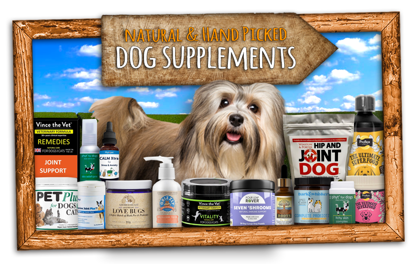 Dog Supplements