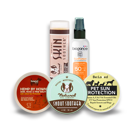 sun protection for dogs